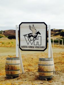 white hawk vineyard