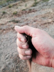 sand in kick on flats
