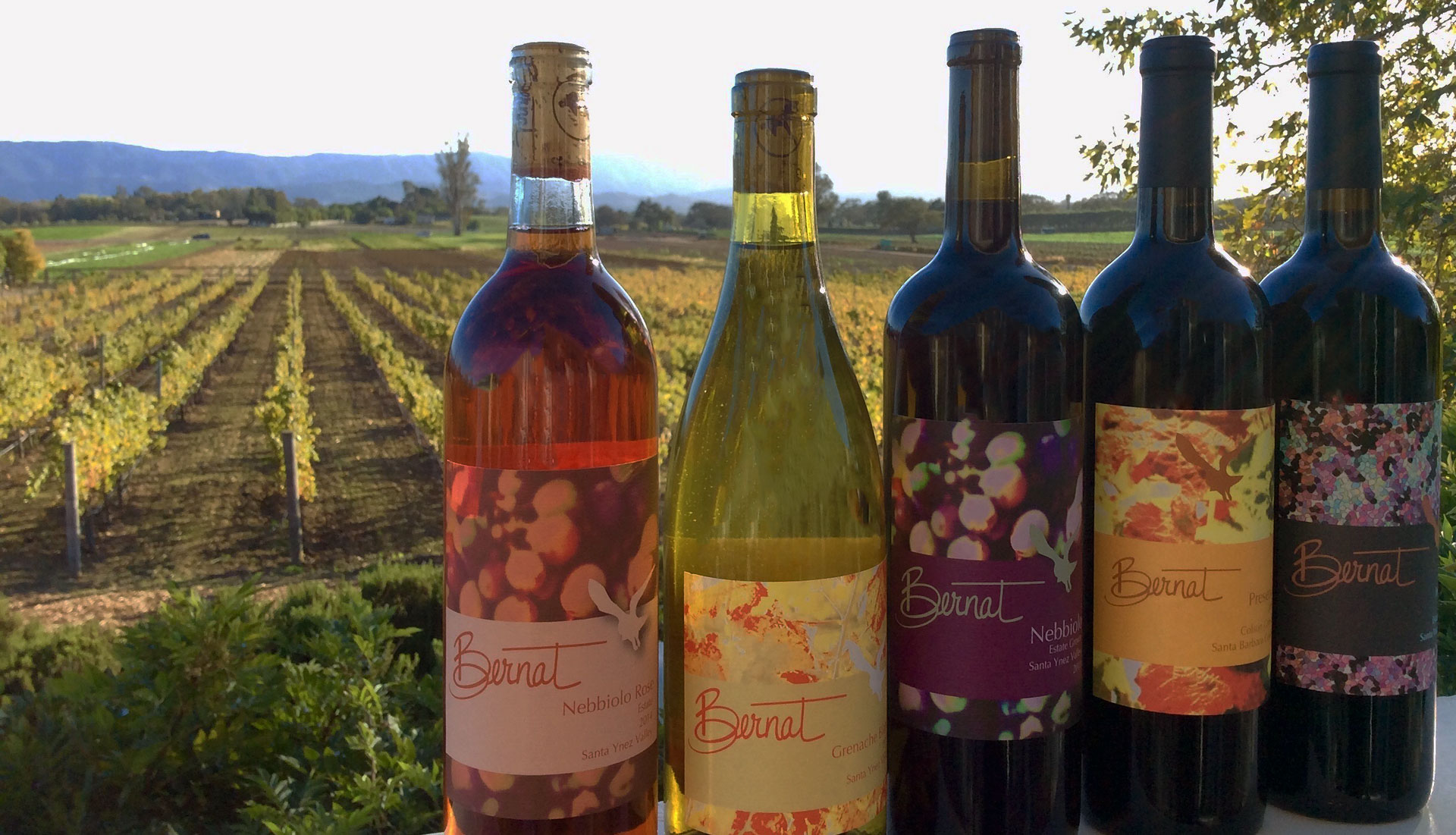 wineandvine Los Olivos Wine Merchant & Cafe