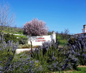 larner vineyard sign and gate