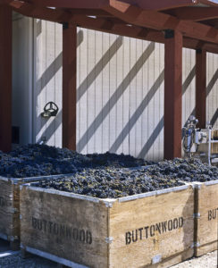Buttonwood Winery in Santa Barbara County