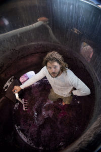 Presqu'ile Winemaker: Dieter Cronje