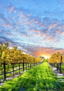 Vineyard with sunset sky. Painting by Sharon Foster