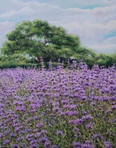 Painting of a field of purple flowers with oak trees in the background. 